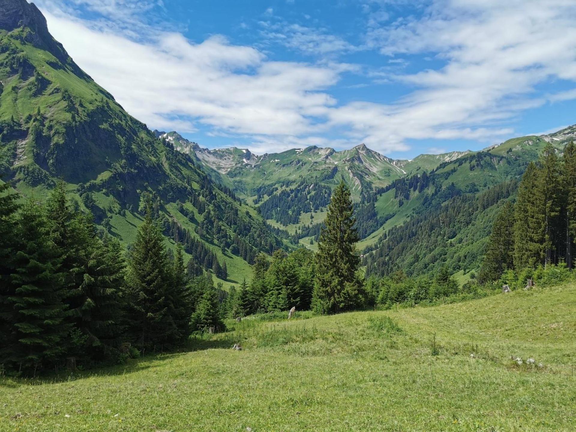 Konstanzer Bergblick Mit Wintergarten 오버스타우펜 외부 사진